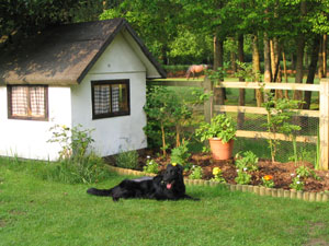 garden